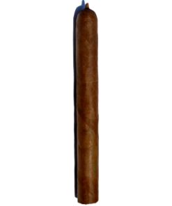 Criollo 99 Robusto